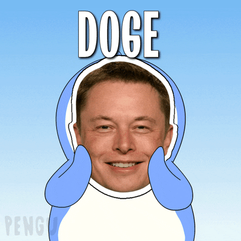 GIF3