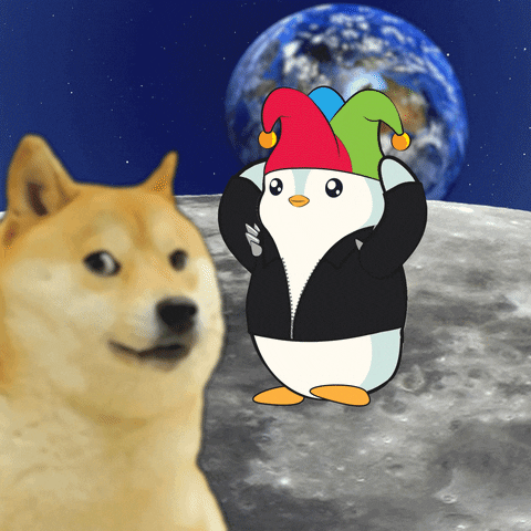 gif7
